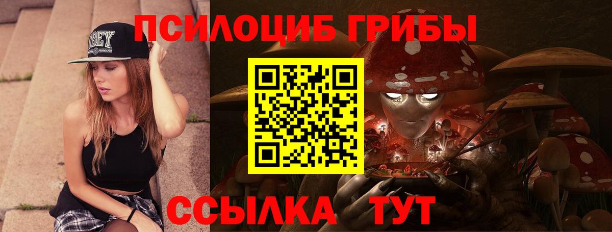 Галлюциногенные грибы мицелий  сколько стоит  Галлюциногенные грибы Cubensis  Тихвин  Вход с VPN 